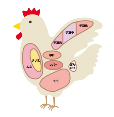 鶏の砂肝とは カロリーや栄養価と美味レシピ 無添加の通販 夢創鶏のお取り寄せ通販産地直送 むそうどりの英楽 無添加飼料で育ったブランド鶏を飼育 生産 販売の生産者から直送